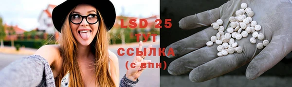 a pvp Белокуриха