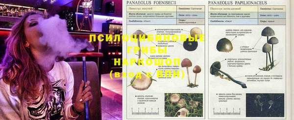 марки lsd Белоозёрский