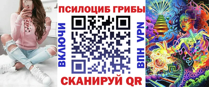 Псилоцибиновые грибы Psilocybe Обь